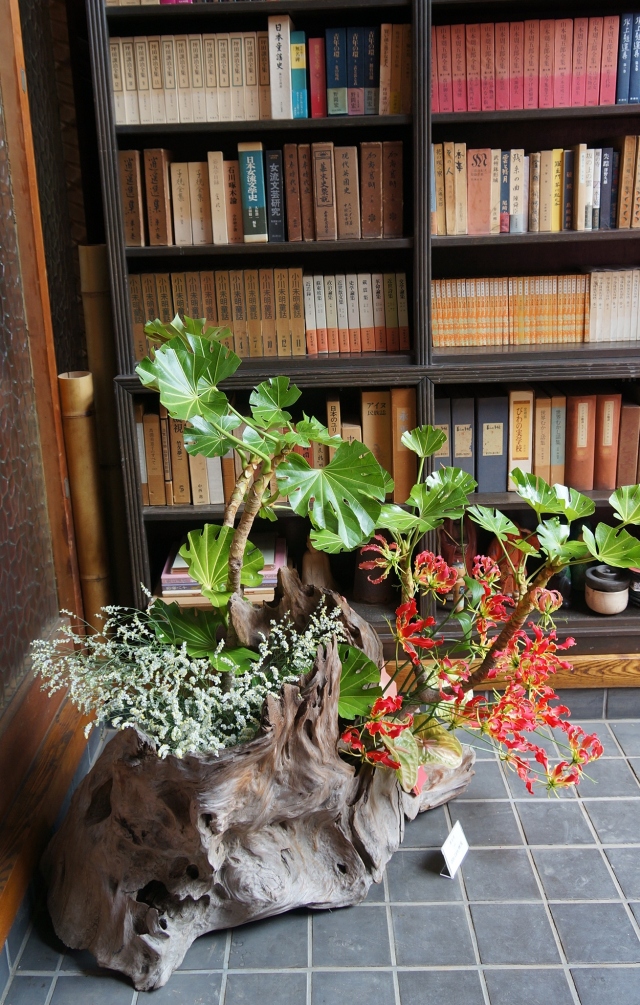 Side view- installation in the entryway: my composition using driftwood, gloriosa lily, yatsude branch, anthurium, baby's breath.